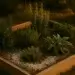 A raised bed with chalky soil featuring a selection of herbs growing