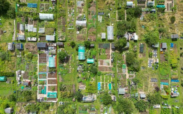 October Allotment Jobs UK: The Last Big Push Before Winter